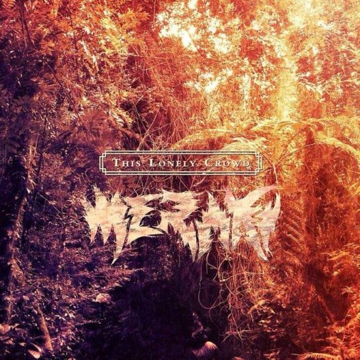 This lonely crowd - meraki