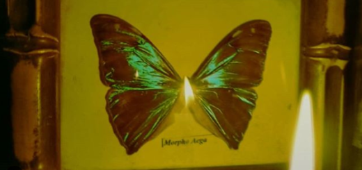 Electric Light Pulp - MORPHO AEGA (videoclipe)