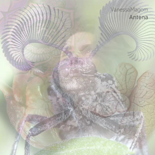 Vanessa Magom - Antena (EP)